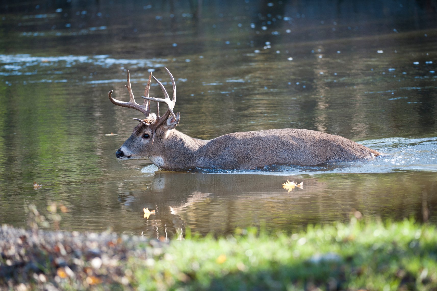 030701adbf55f0bf6f3726d7f0340e5b_iStock174116851