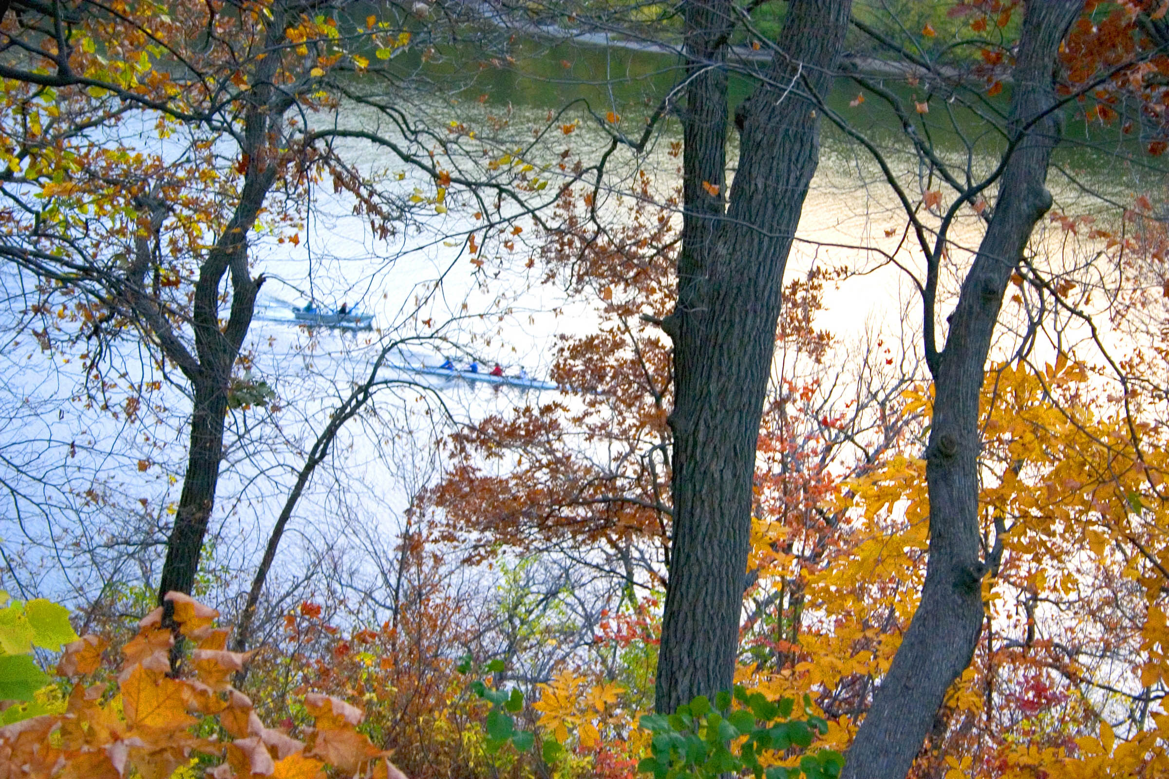 03cb718db3233566b90406bb6bab8f53_NAU12841