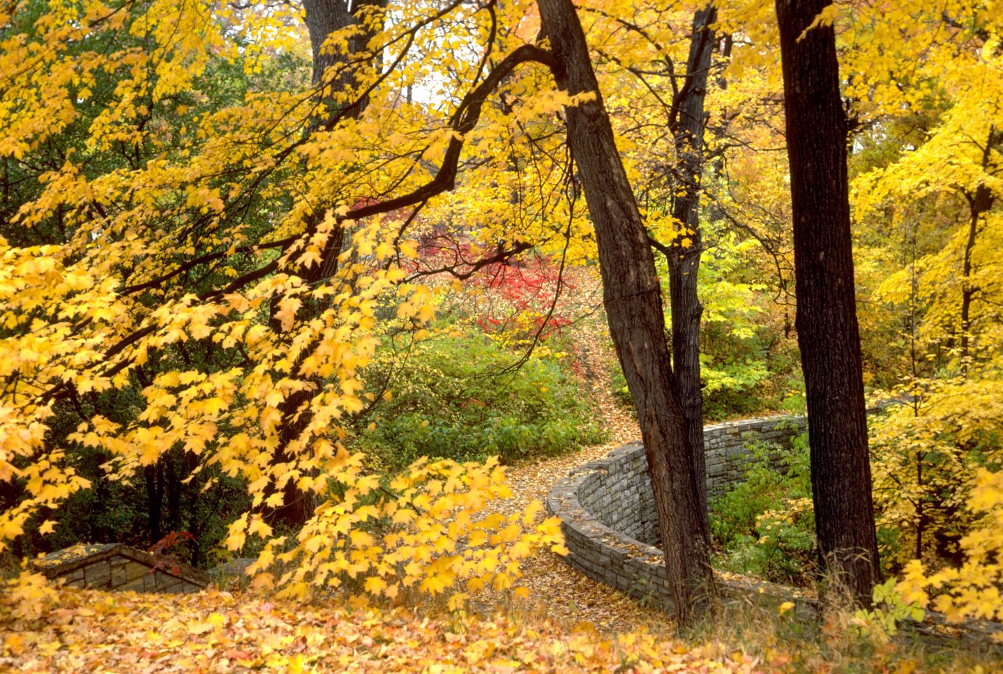 641ae67aede553bd64da82221f4d8025_NAU10801