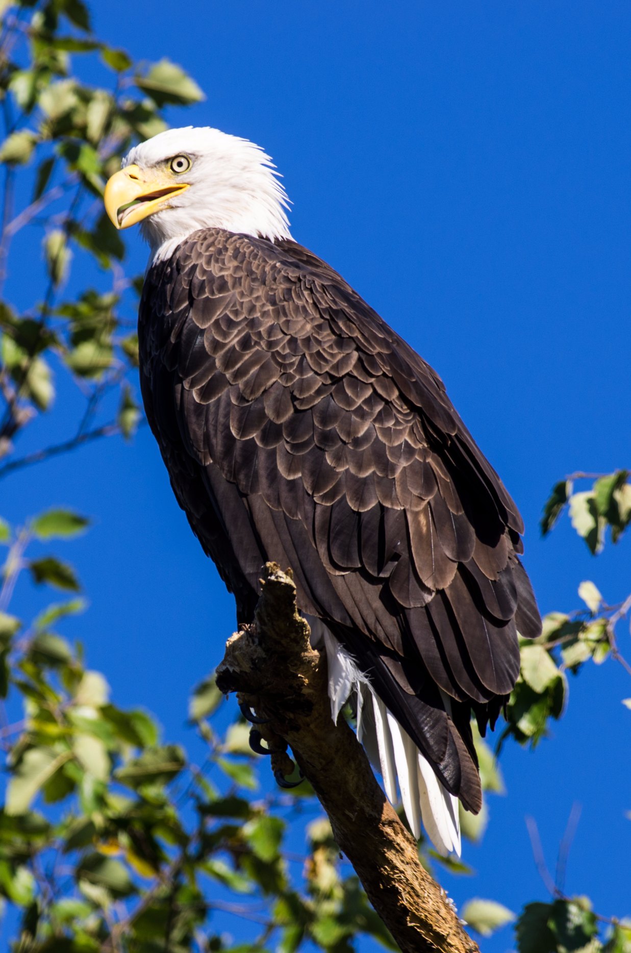 8d7e33255bd818faad2948c0d3011cfe_shutterstock_155341133